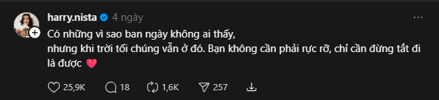 Lỡ cả đời không rực rỡ thì sao