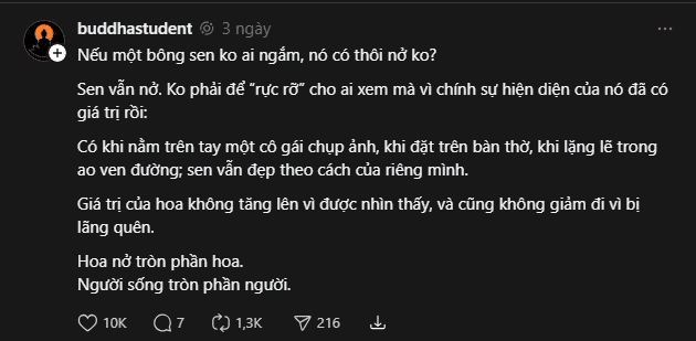 Lỡ cả đời không rực rỡ thì sao